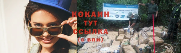 шишки Абинск