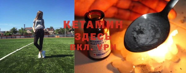 шишки Абинск