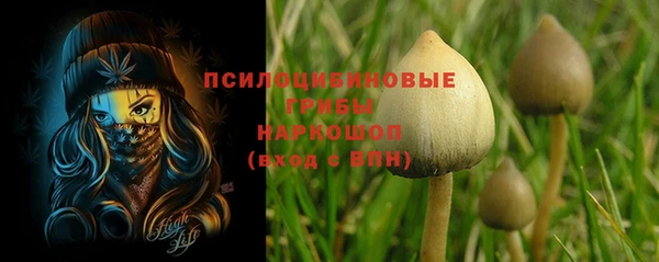 шишки Абинск